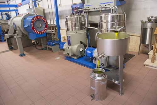 frantoio Frantoio Mazzarrini 10