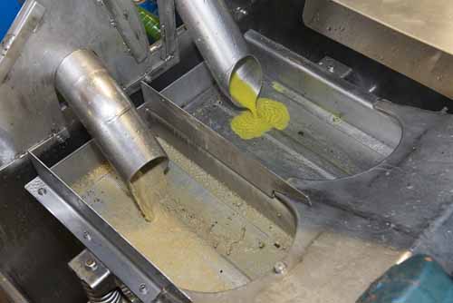 frantoio Frantoio Mazzarrini 11