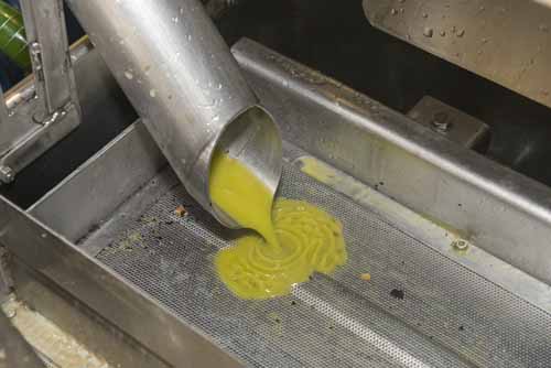 frantoio Frantoio Mazzarrini 12