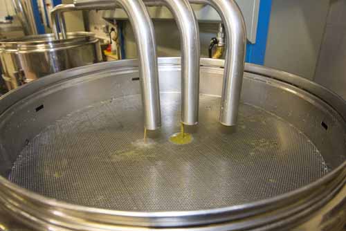 frantoio Frantoio Mazzarrini 13