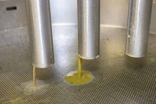 frantoio Frantoio Mazzarrini 14