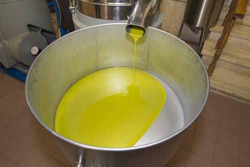 frantoio Frantoio Mazzarrini 15