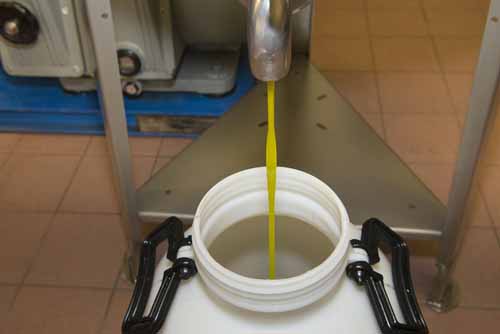 frantoio Frantoio Mazzarrini 17