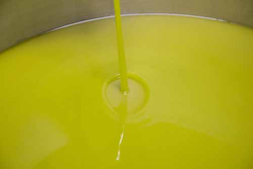 frantoio Frantoio Mazzarrini 18