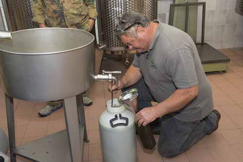 frantoio Frantoio Mazzarrini 19