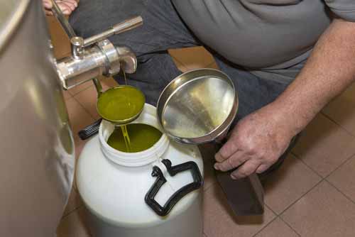 frantoio Frantoio Mazzarrini 20