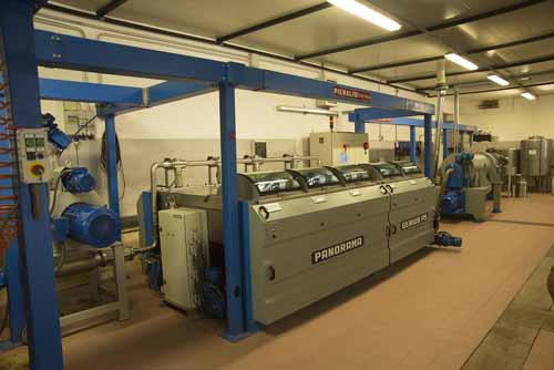 frantoio Frantoio Mazzarrini 7