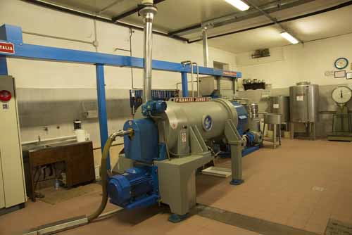 frantoio Frantoio Mazzarrini 9