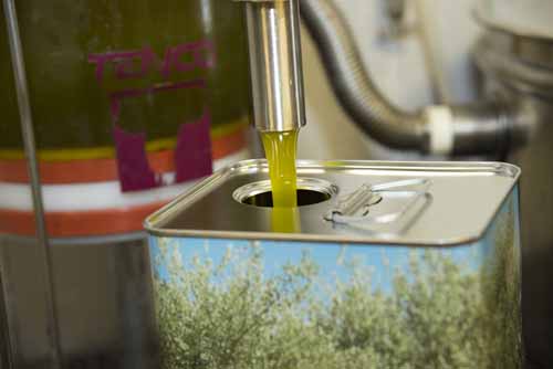 olio Frantoio Mazzarrini 2